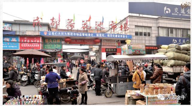 成都荷花池市场前景,成都荷花池批发市场起源