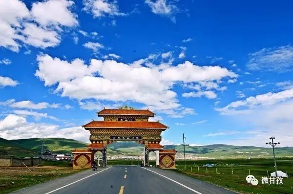 人文｜聆听仙鹤的双翅，你将飞到更高更远的地方……