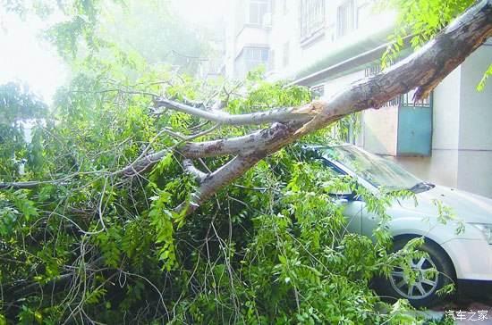 我的车停在车位上被撞了如何处理,停在车位里被别人撞了怎么弄