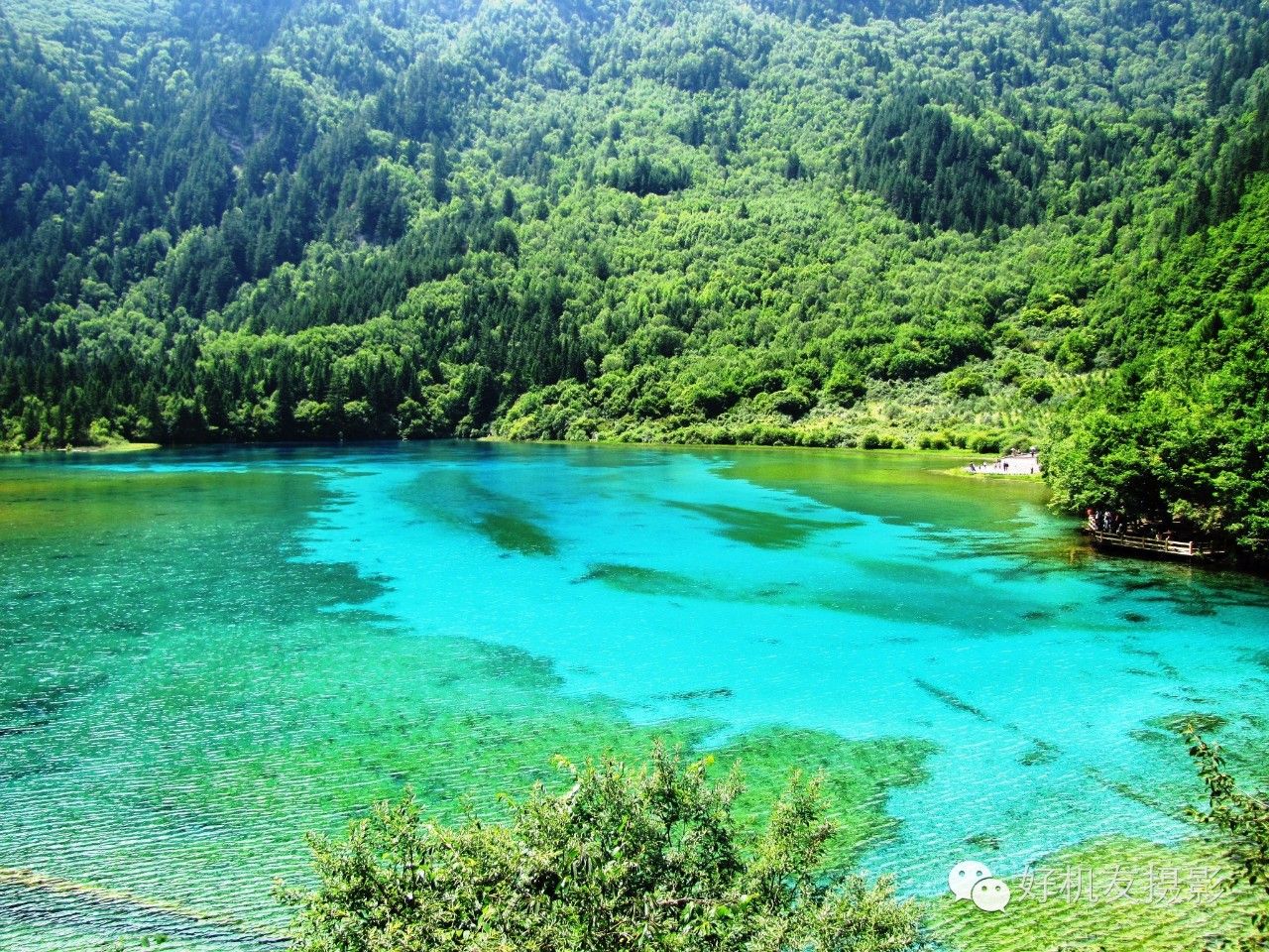 九寨沟黄龙峨眉山乐山自由行攻略,九寨沟旅游攻略及自由行景点介绍