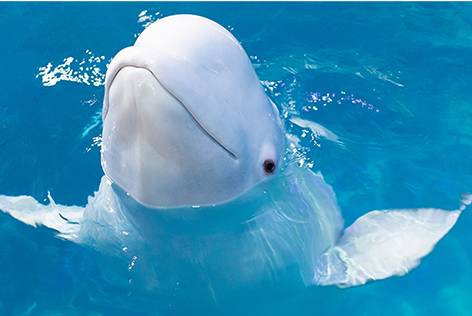 国庆假期出门攻略图文,国庆长假无聊安排