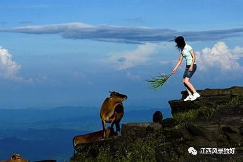 走遍江西100个县市区,走遍江西100个县于都县