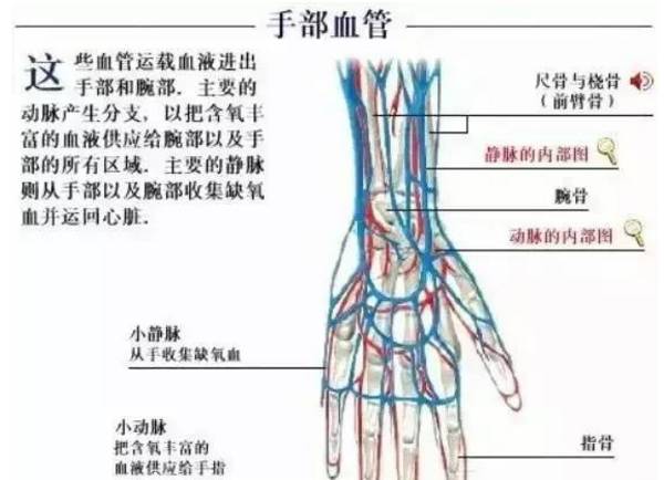扎针如何进针不疼,怎么扎针最稳不鼓