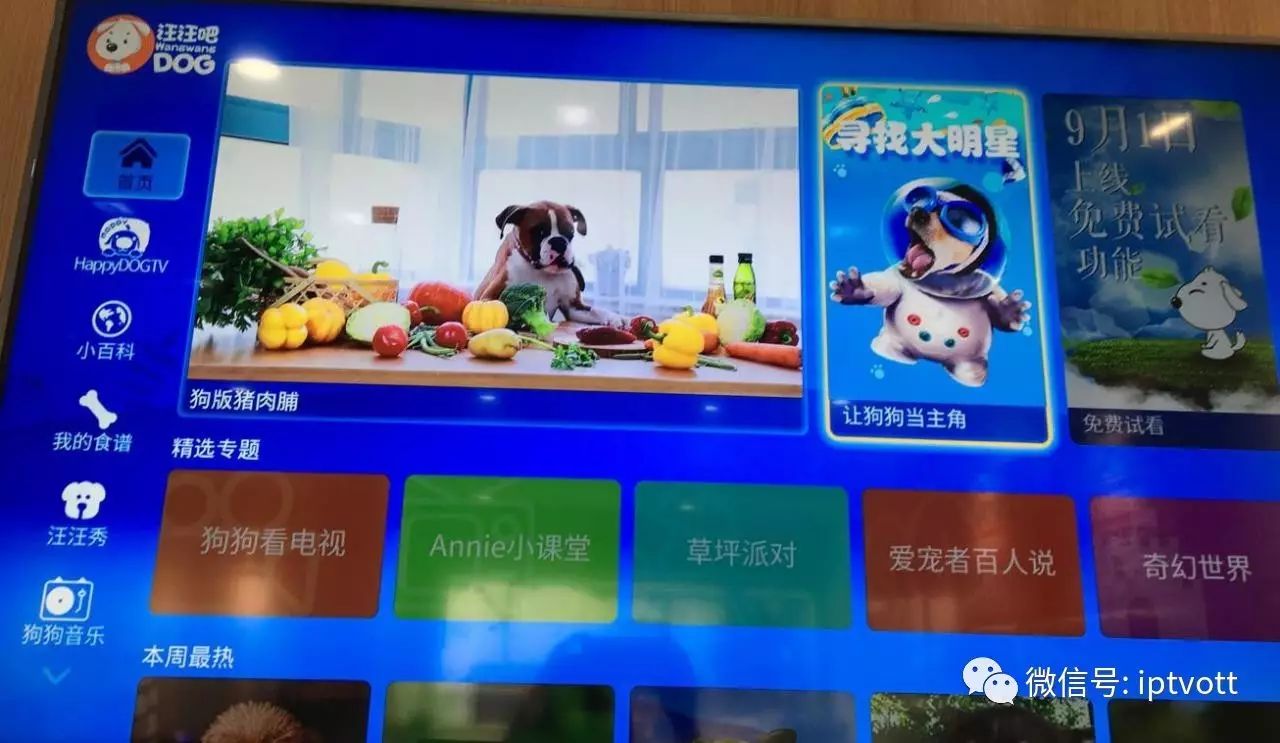 上海电信iptvvlan设置,上海电信iptv中央5台