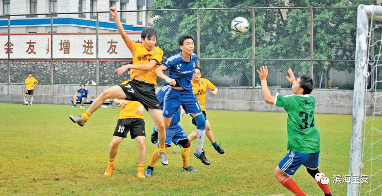 沙井文化活动,宝安区西乡文化节