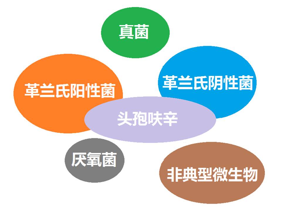 看图“话”抗菌谱，赶紧收藏！