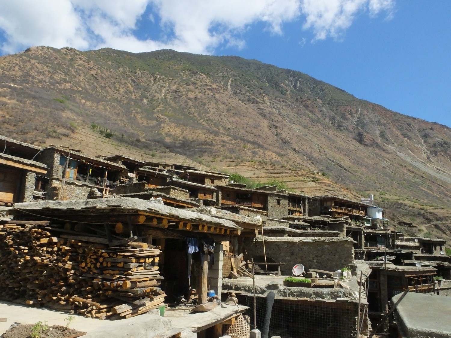 泸亚东线沿途风景,泸亚线穿越原始森林