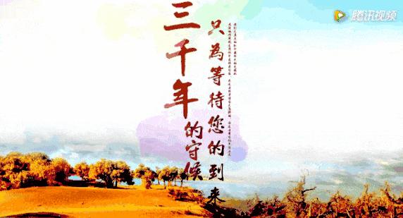 美丽的内蒙古额济纳胡杨林,恋上南山路美图