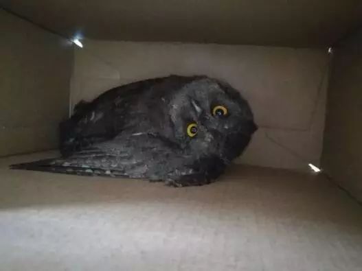 莆田一男子酒后持菜刀砍妻子4人,一男子怀疑老婆与人有染