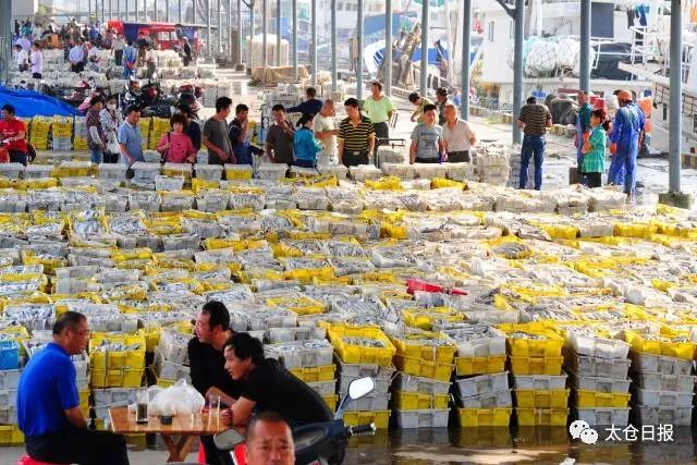 现在的浏河古镇,今天的浏河古镇