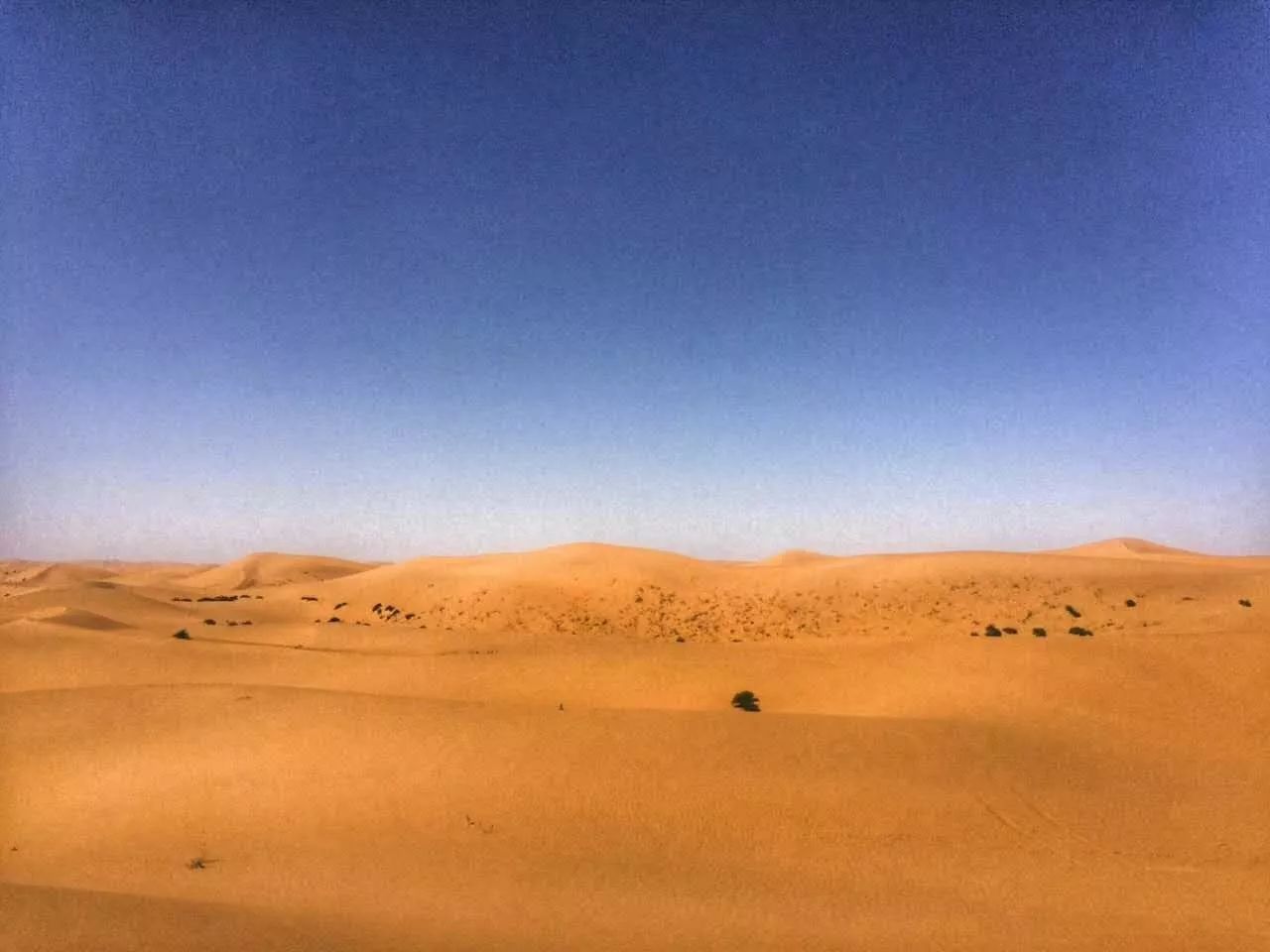 腾格里沙漠的徒步活动,腾格里沙漠五湖穿越徒步怎么参加