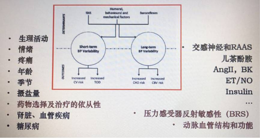高血压治疗指南讲座,中国高血压临床实践指南10大看点
