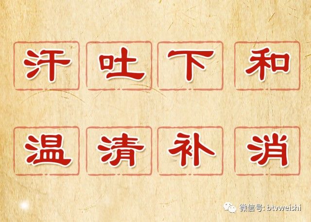 养生堂揭秘大脑的神秘物质,养生堂最新视频