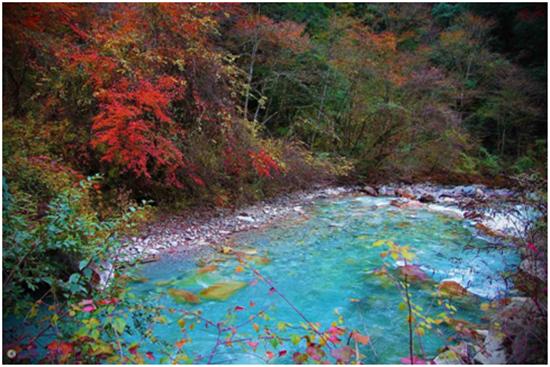 踏秋之旅,宝兴东拉山大峡谷红叶
