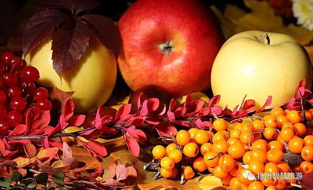 一年四季每个月吃的水果,10到11月吃哪些水果