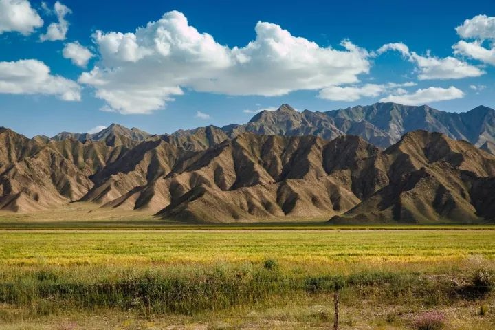 八天旅行应该带什么,8天出行