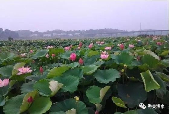 浠水县一天游玩攻略,浠水国庆去哪里玩