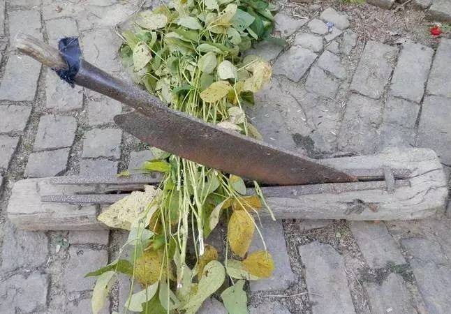 发财了！这东西以前常州家家有！扔了没人要，如今价值上万……