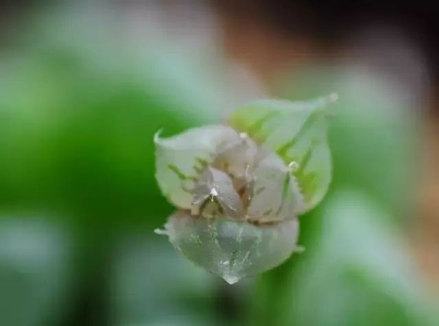 玩花剑的正确方法,花剑教程大全