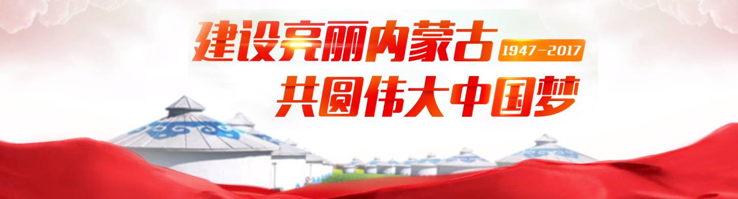 包头市团二小校长杯足球比赛,2017龙之队青少年足球