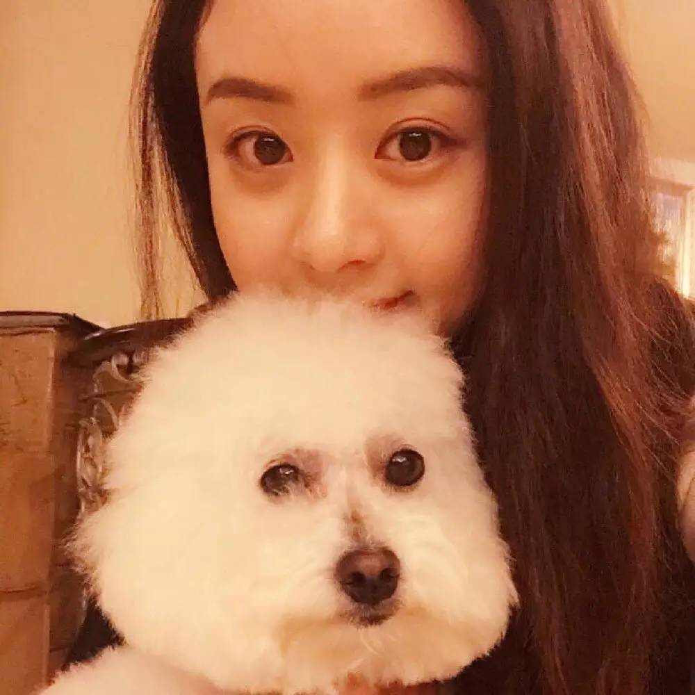 教你妆|是谁给女明星们素颜的勇气来面对流言蜚语？那对能耐的睫毛呗！