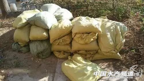 鱼塘土壤酸性用什么改良,鱼塘水质改良方案