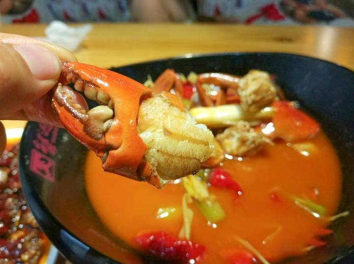 十月吃蟹指南：成都最好吃的8家蟹都在这里了