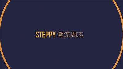 “我”很努力地成为一双球鞋，只是想不到成为了冷门款——《每周冷门球鞋大赏》