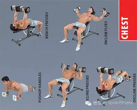 撸铁动作图解大全,健身训练八大经典动作健身干货