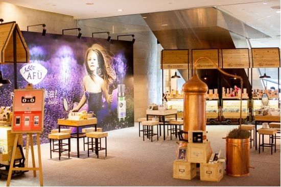 瀹犵矇鐙傞瓟鏂版涓婃柊,瀹犵矇鐙傞瓟涓婄嚎