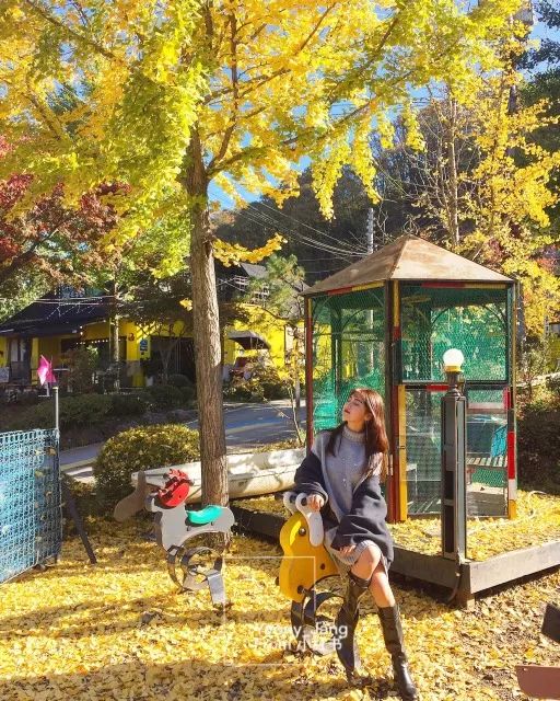 又是一年赏枫季,又是一年赏秋季