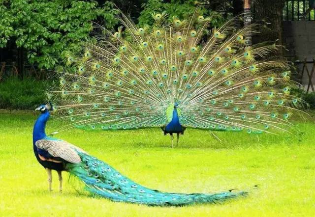 苏州最好的养生度假村,苏州环秀晓筑度假村温泉