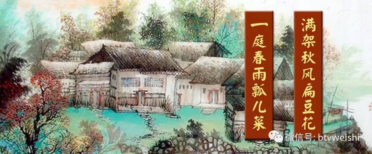 养生堂2018全部视频中医,养生堂2019中医