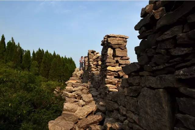 这些令人不可思议的冷知识,这些奇特的冷知识你们知道吗