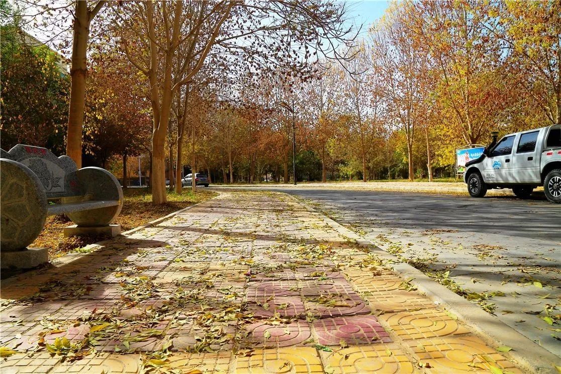 秋日里，有一抹乡愁叫且末！