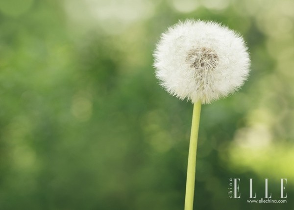 情侣吵架还能和好如初,怎样吵架和好如初