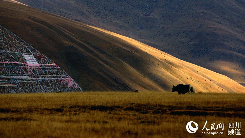 康巴有十美道孚有八美,康巴道孚美景图