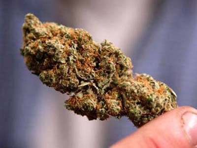 警惕毒品伪装成的烟,警惕毒品可能伪装成奶茶可乐