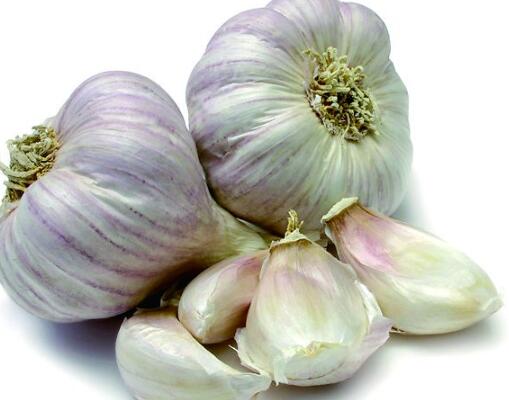 吃大蒜上瘾身体会变臭吗,吃蒜上瘾的后果