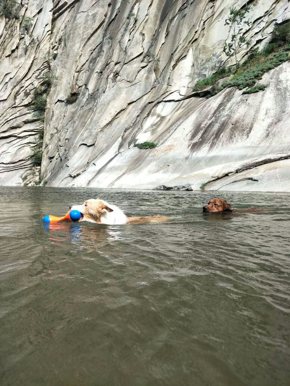 活动回顾｜随欧帝亿遛狗圣地撒花跑，铁锅灶台鱼可劲儿造回顾
