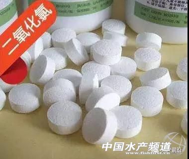 这几个“屌丝”渔药你知多少?生石灰、食盐、二氧化氯,一个比一个好用!