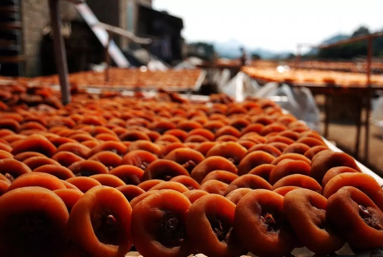 那盒跟我走了3000公里的柿子，最后怎么了？