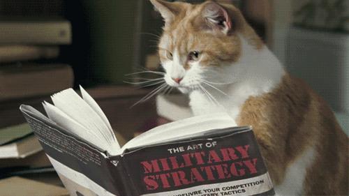 明日立冬后如何养生,关于立冬节气食疗的养生方法