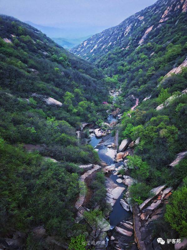 德国植物专家为何不远万里，漂洋过海亲赴72潭景区？