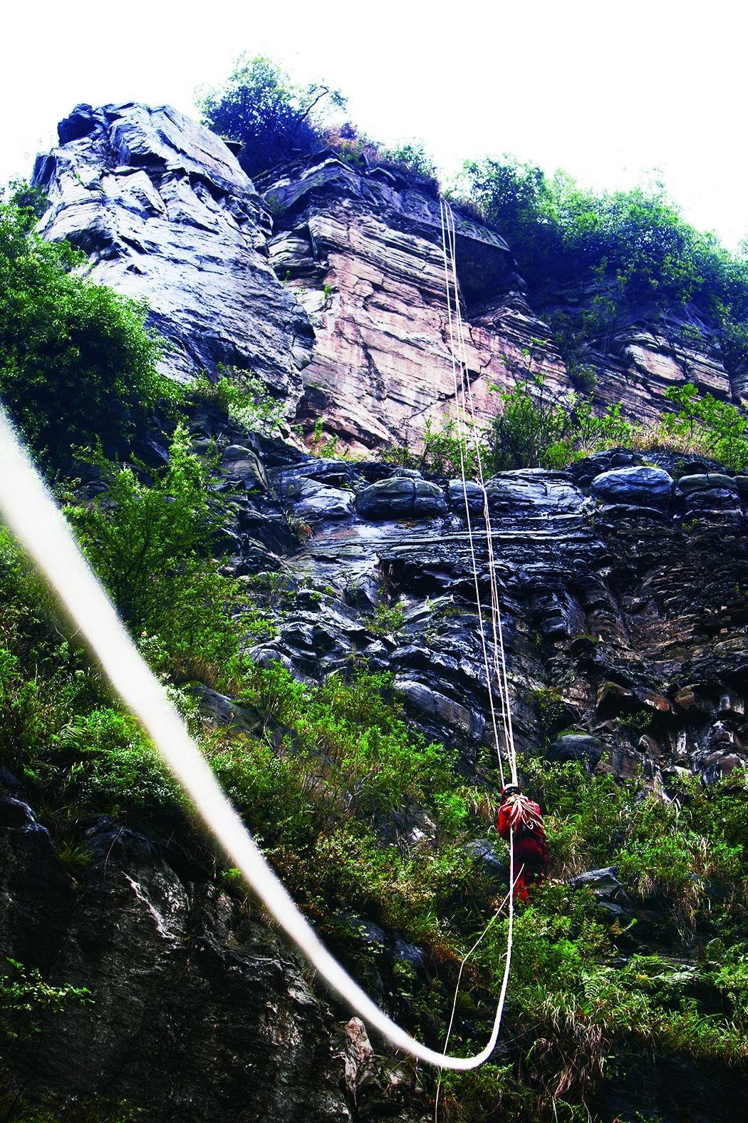 辉煌成就筑梦未来,辉煌成就振奋人心