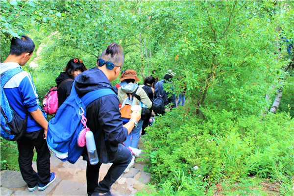 活动回顾｜欧帝亿主题狗狗巴士察哈尔草原深处探秘万年火山