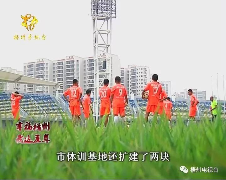 梧州足球赛事,球迷的幸福生活