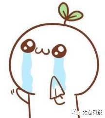 真会玩！没想到，太仓也有这么好玩的创意市集！