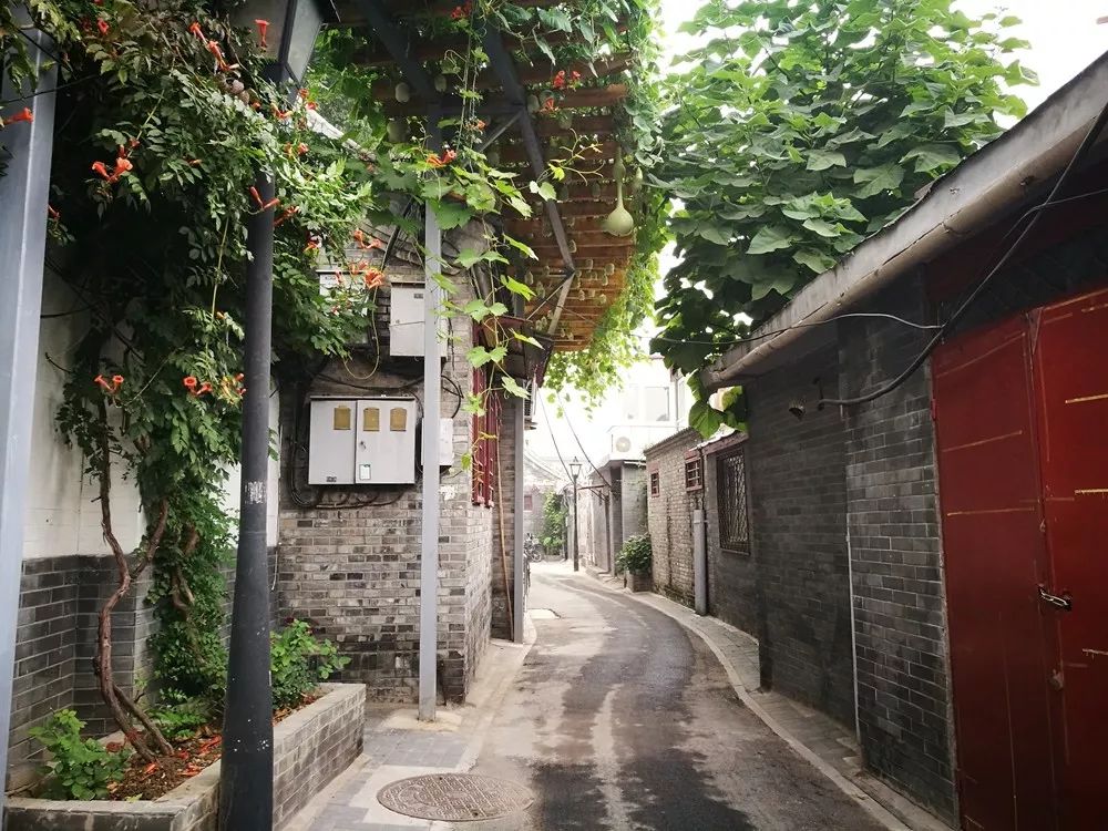 百花深处笛子版,百花深处