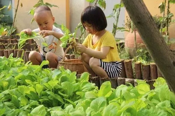 萧山最大的马场在哪里,萧山新建马场